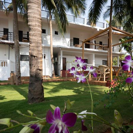 De Lavender Luxury Sea View Guest Houses 阿贡达 外观 照片