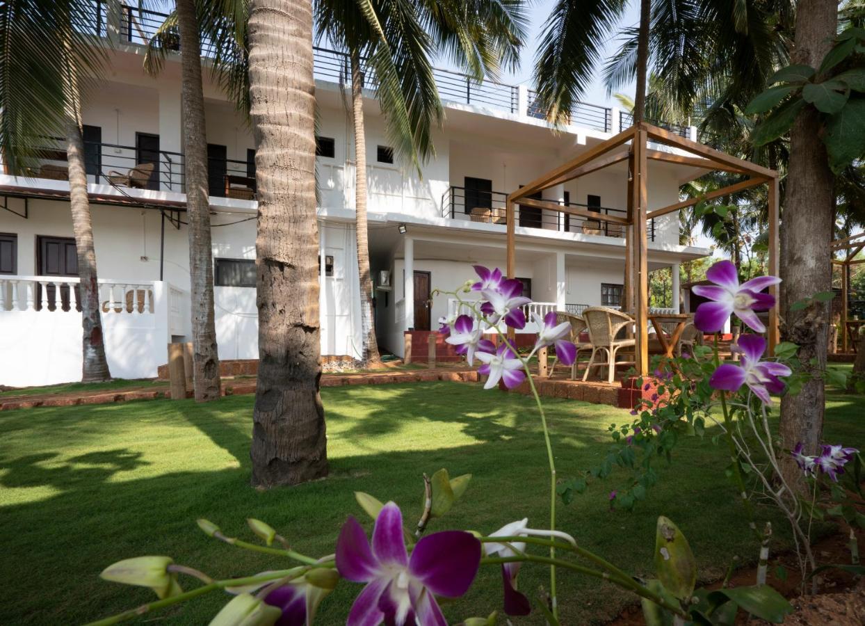 De Lavender Luxury Sea View Guest Houses 阿贡达 外观 照片